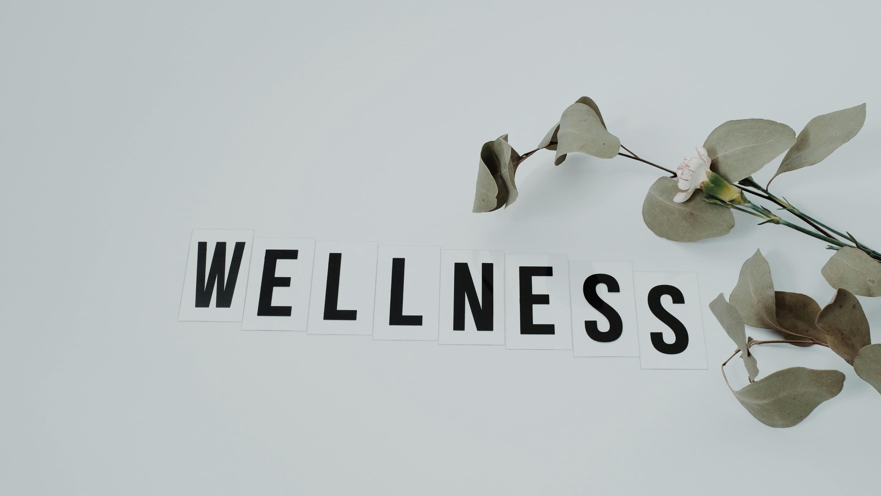 How Wellness Stipends Compare to Traditional Employee Benefits